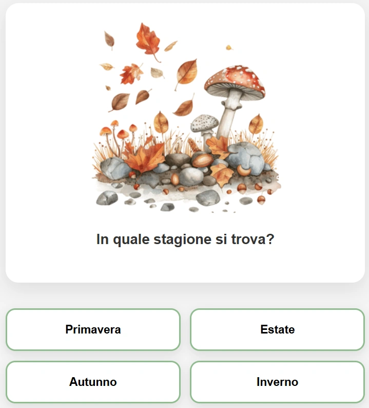 Quattro Stagioni Cover