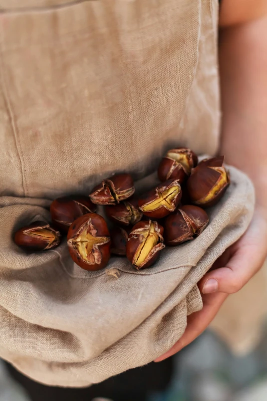 castagne caldarroste