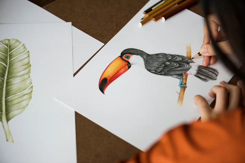 colorare un tucano su un foglio