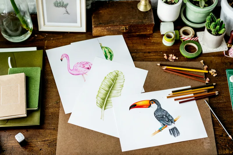disegni colorati con natura e animali