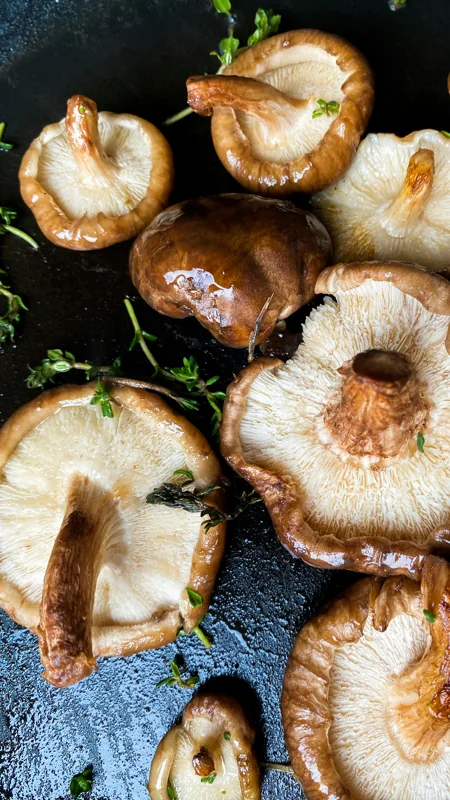 funghi trifolati